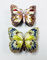 Colorful Butterfly Metal Alloy Jewelry Box Butterfly Trinket Box supplier
