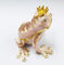 New frog animal pewter cartoon jewelry box metal gift box Frog trinket box supplier